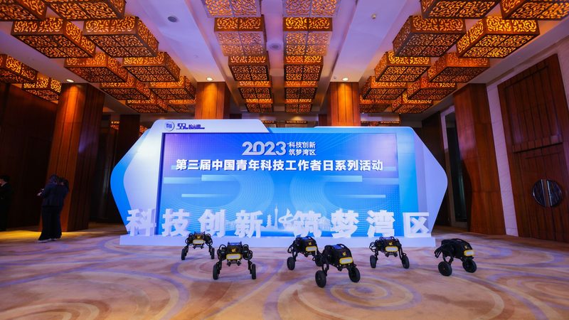 揭秘互联网技术基础教程视频：入门必备知识清单